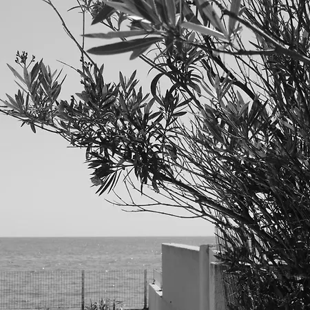 Villa Maison Pieds Dans L'eau, Vue Panoramique, Bord De Mer Et Sur La Plage